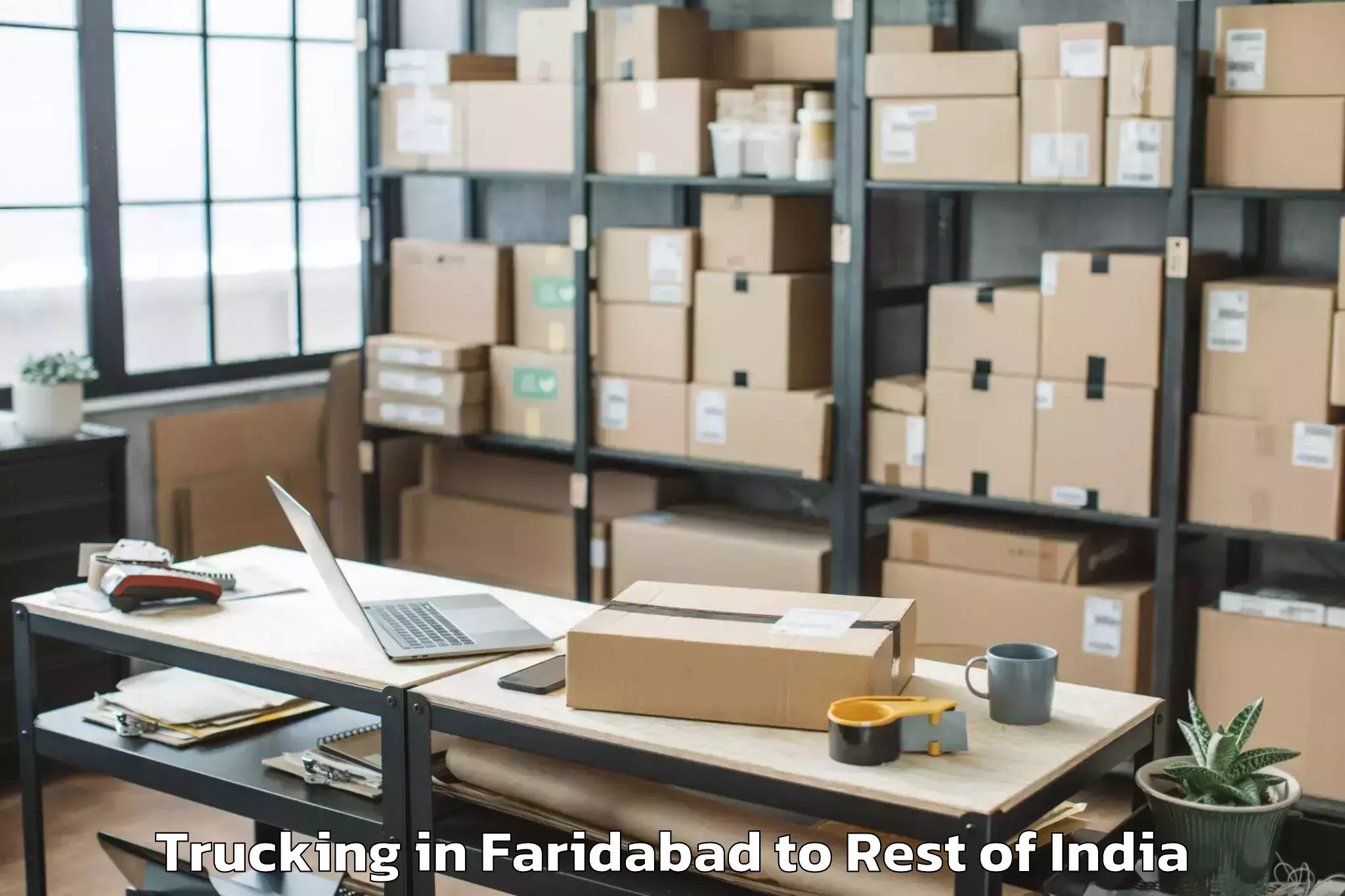 Book Faridabad to Badgam Trucking Online